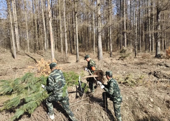 亚洲必赢·(中国区)唯一官方网站