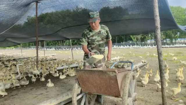 亚洲必赢·(中国区)唯一官方网站