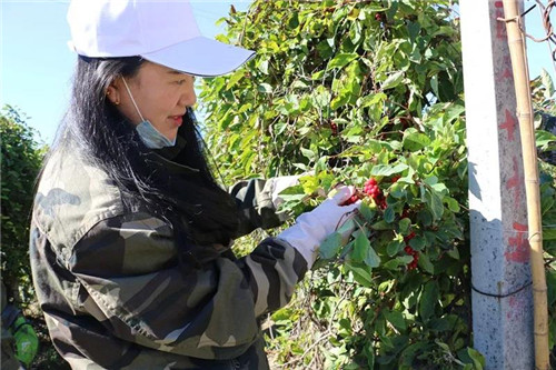 亚洲必赢·(中国区)唯一官方网站