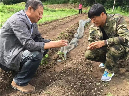 亚洲必赢·(中国区)唯一官方网站